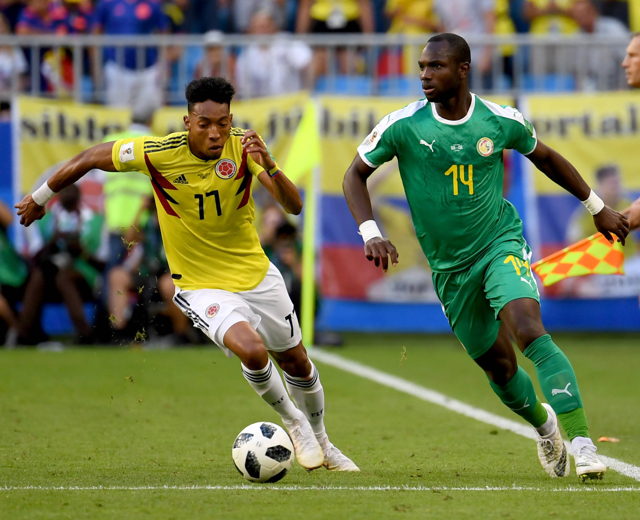 损失规避效 损失规避效