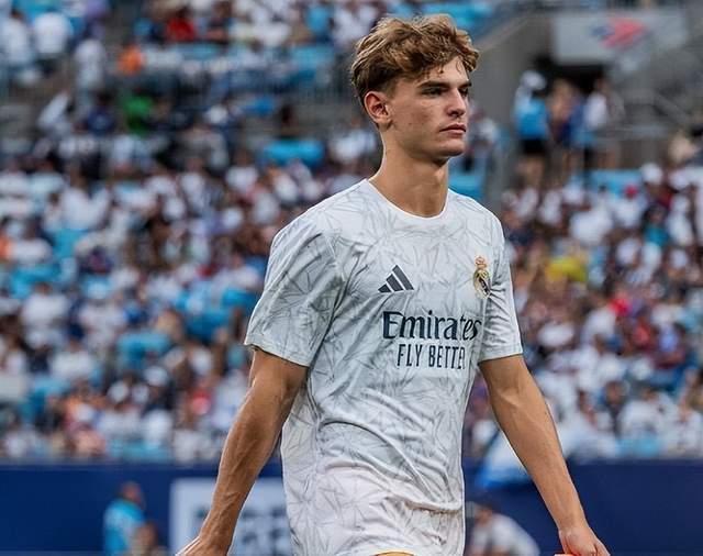 灰熊队的挑 灰熊队的挑