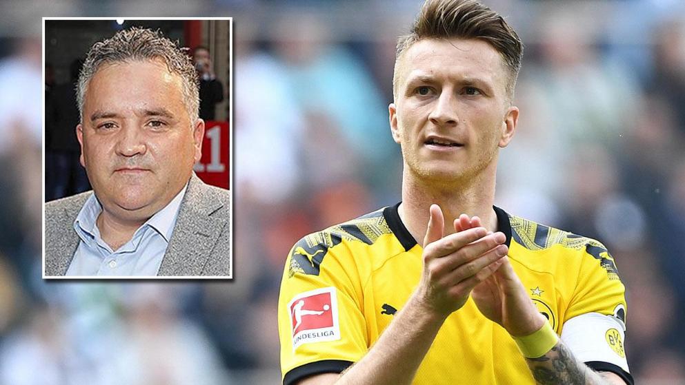 成功帮助马 成功帮助马