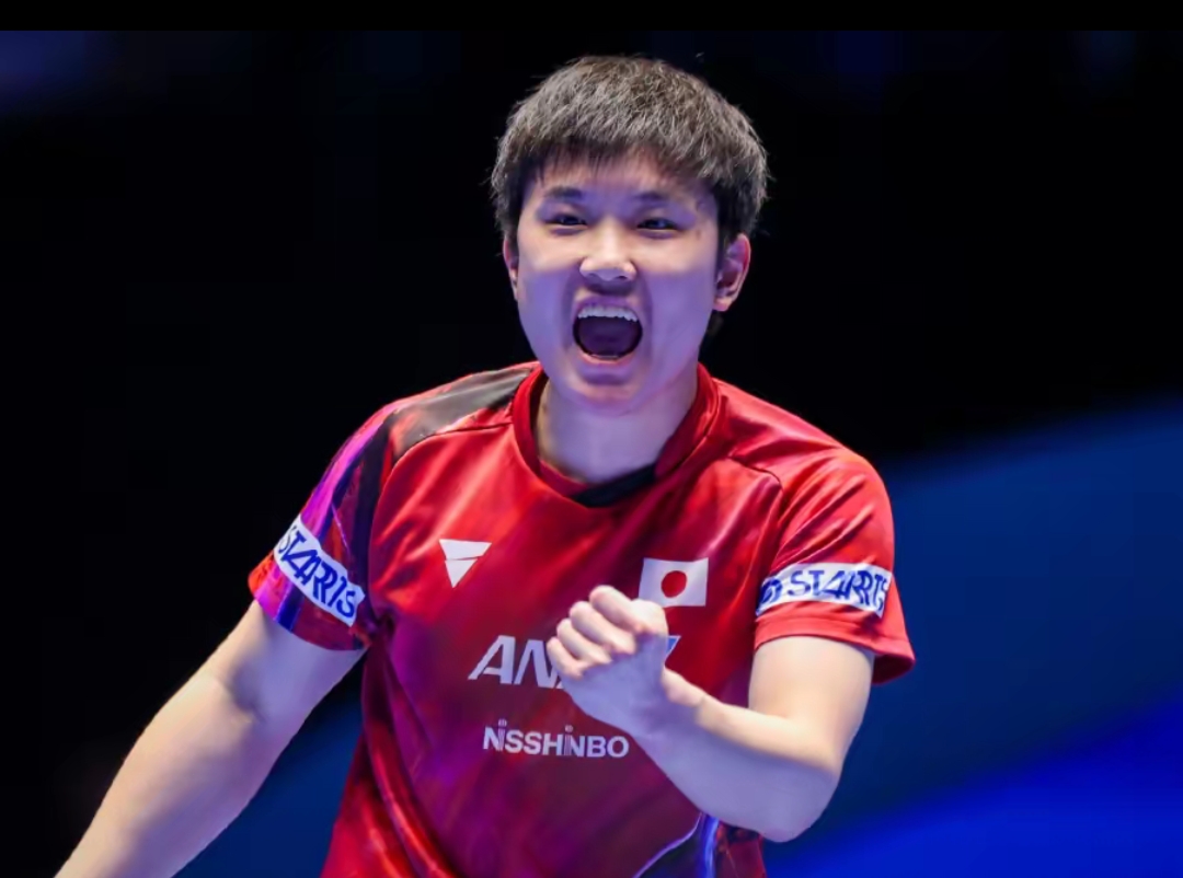 市场波动现 市场波动现