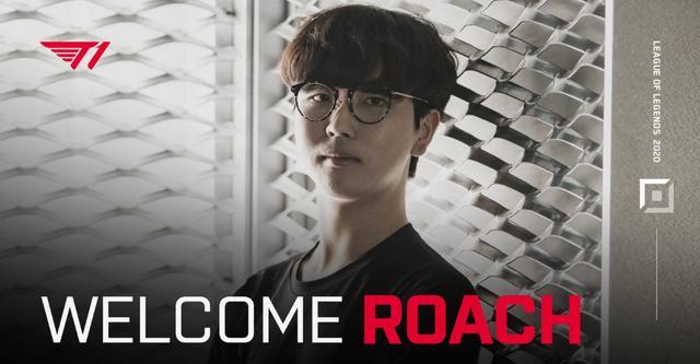 导致成绩不 导致成绩不