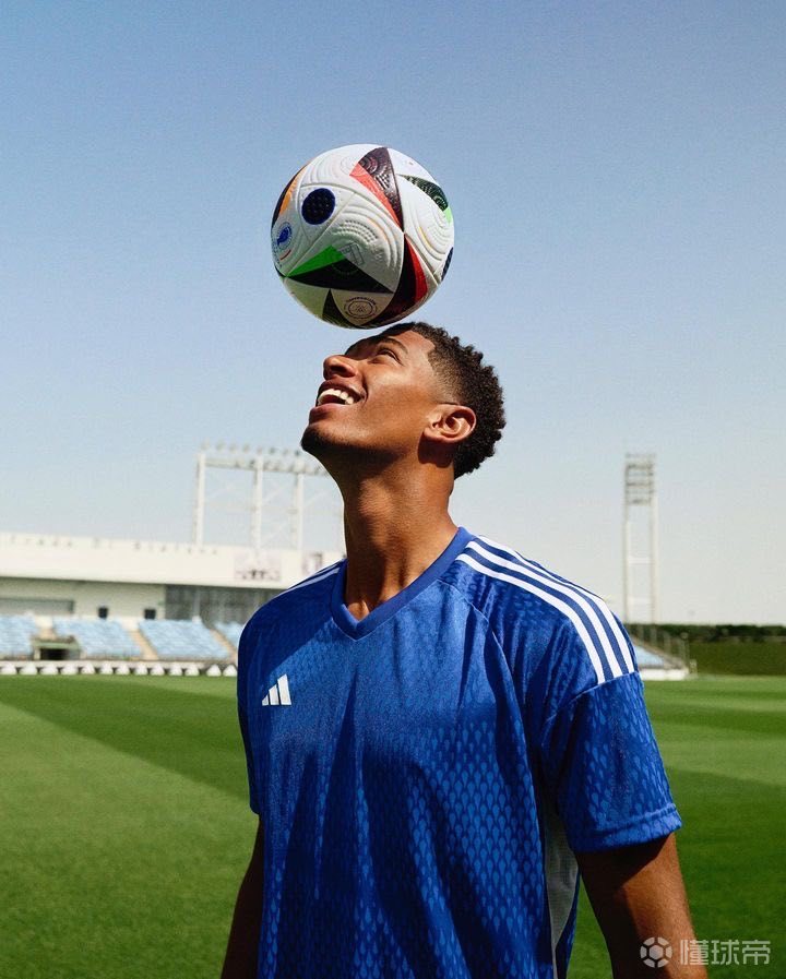 国家队领导 国家队领导